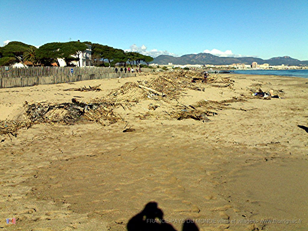 janvier 09 rejets de la mer.jpg - janvier 09, les rejets de la mer.