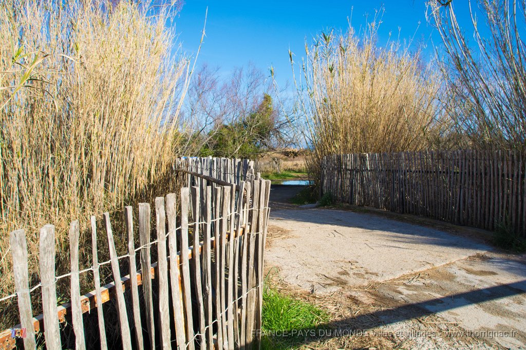Etangs de Villepey 03122017 2.jpg - Fréjus (83) - Les étangs de Villepey - 03 décembre 2017.