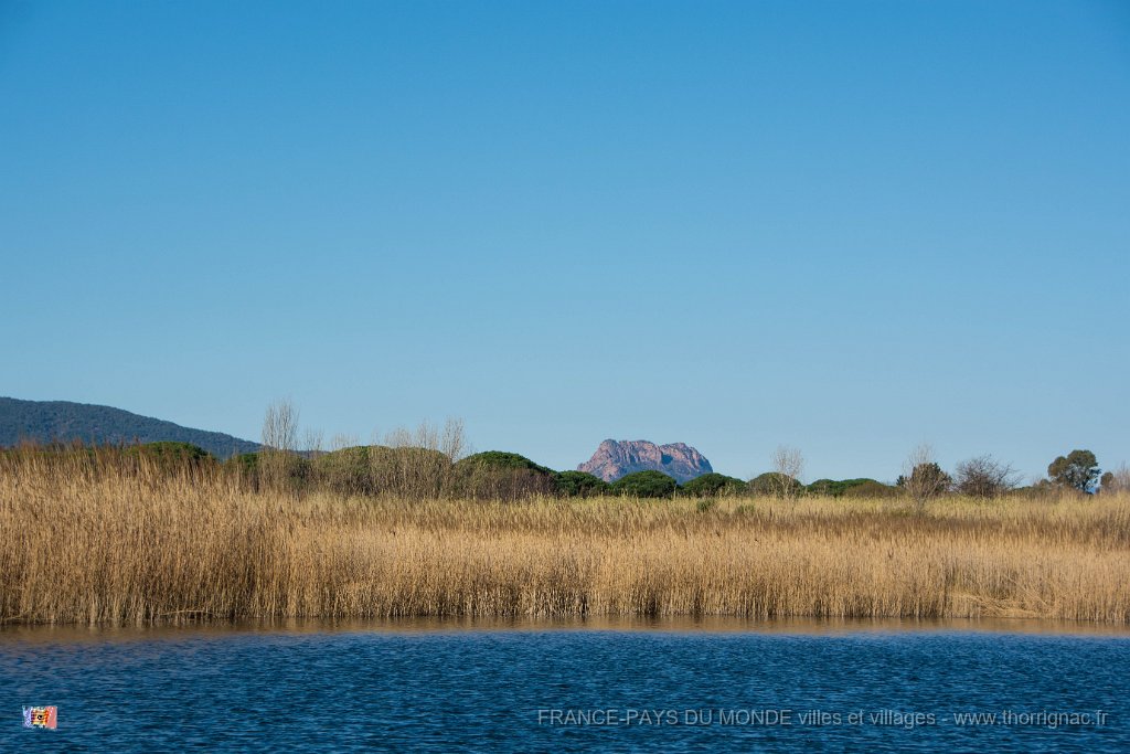 Etangs de Villepey 03122017 23.jpg - Fréjus (83) - Les étangs de Villepey - 03 décembre 2017.