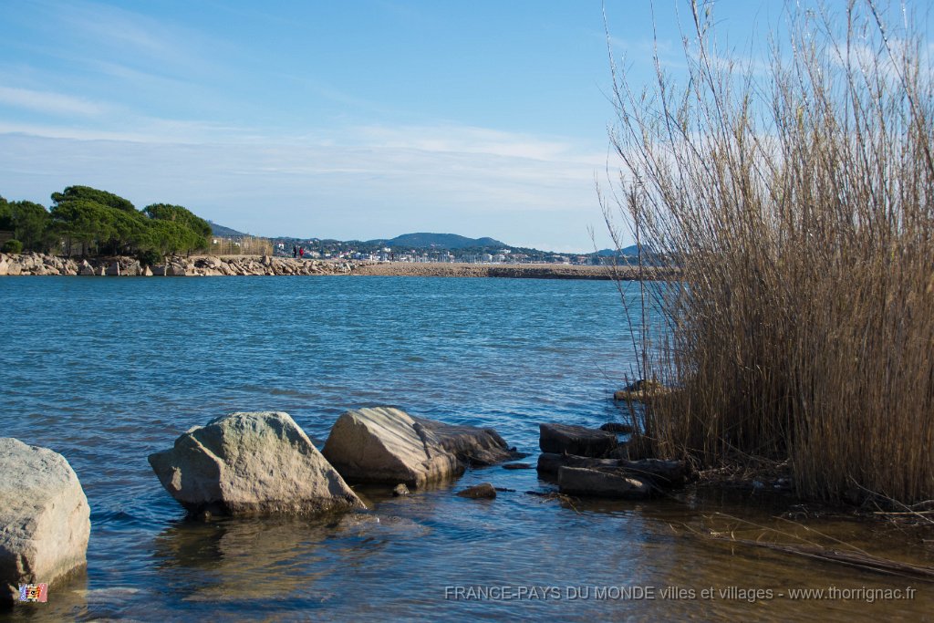 Etangs de Villepey 03122017 38.jpg - Fréjus (83) - Les étangs de Villepey - 03 décembre 2017.