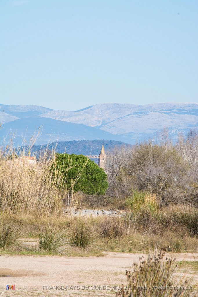 Etangs de Villepey 03122017 42.jpg - Fréjus (83) - Les étangs de Villepey - 03 décembre 2017.