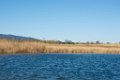 Etangs de Villepey 03122017 15