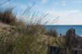 Etangs de Villepey 03122017 18
