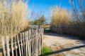 Etangs de Villepey 03122017 2