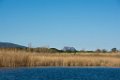 Etangs de Villepey 03122017 23
