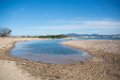 Etangs de Villepey 03122017 31