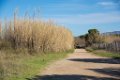 Etangs de Villepey 03122017 35