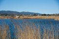 Etangs de Villepey 03122017 36