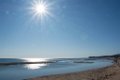 Etangs de Villepey 03122017 41