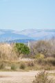 Etangs de Villepey 03122017 42