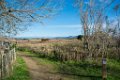 Etangs de Villepey 03122017 5