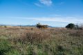 Etangs de Villepey 03122017 7