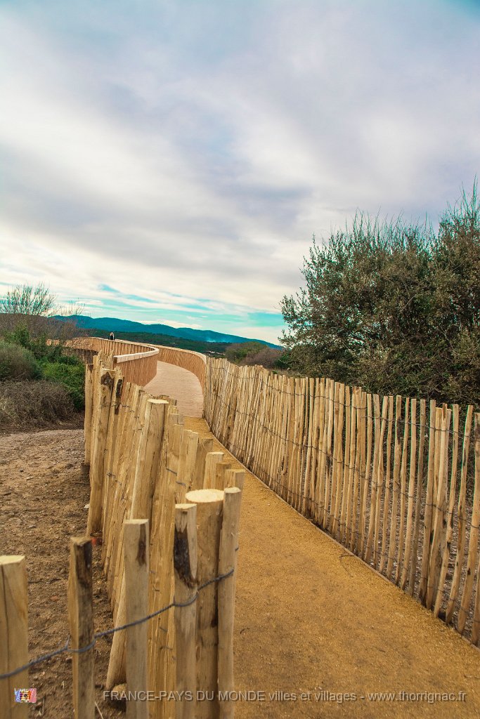 Etang Villepey 03 fevrier 2019 1.jpg - Fréjus (83) - Etangs de Villepey - 03 février 2019