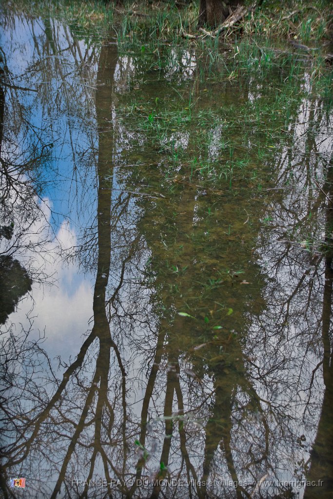 Etang Villepey 03 fevrier 2019 16.jpg - Fréjus (83) - Etangs de Villepey - 03 février 2019