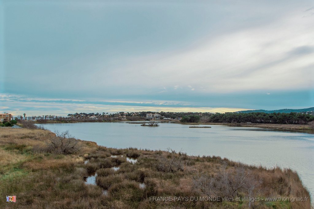 Etang Villepey 03 fevrier 2019 23.jpg - Fréjus (83) - Etangs de Villepey - 03 février 2019