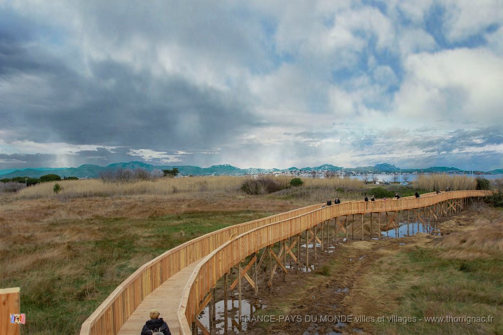 Etang Villepey 03 fevrier 2019 29.jpg - Fréjus (83) - Etangs de Villepey - 03 février 2019