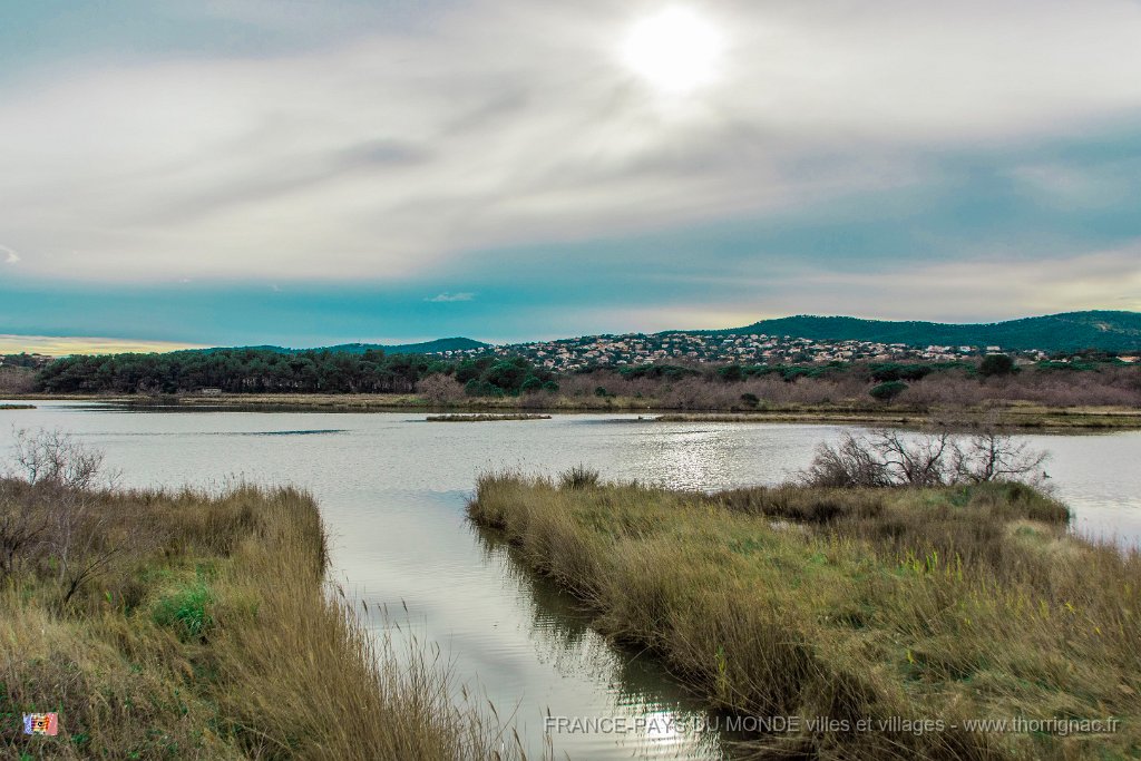Etang Villepey 03 fevrier 2019 30.jpg - Fréjus (83) - Etangs de Villepey - 03 février 2019