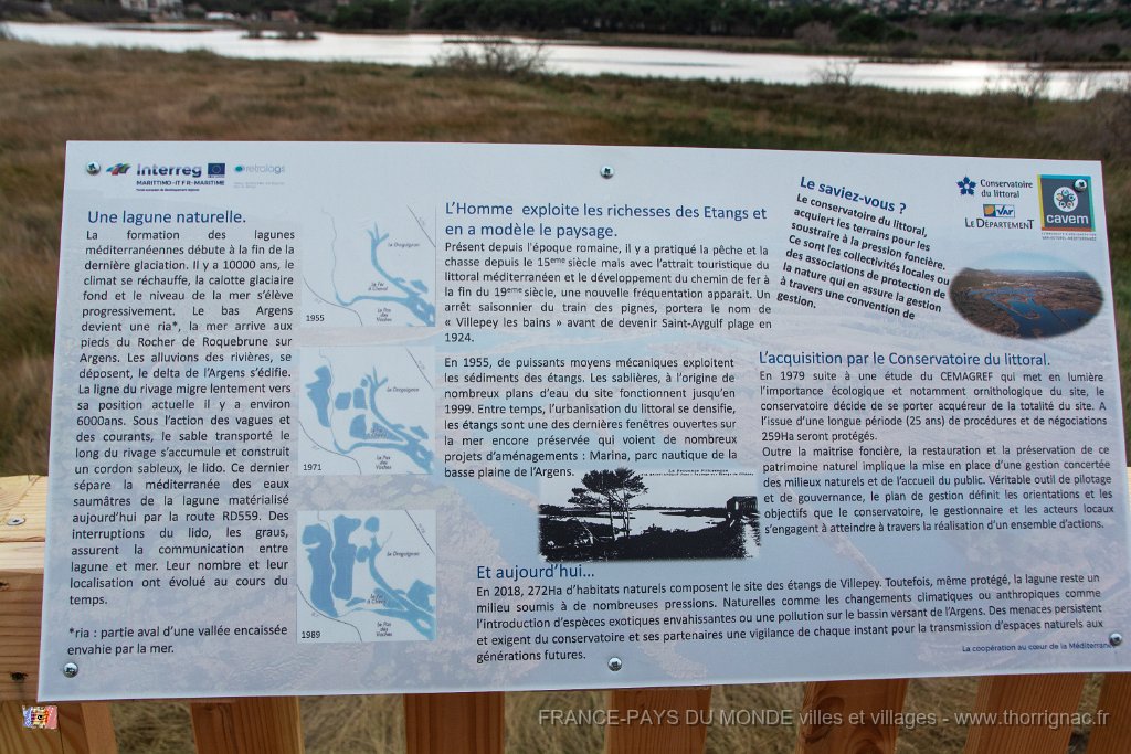 Etang Villepey 03 fevrier 2019 33.jpg - Fréjus (83) - Etangs de Villepey - 03 février 2019