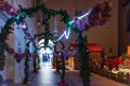 Illuminations Frejus 2019 11
