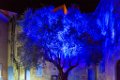 Illuminations Frejus 2019 31