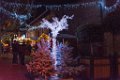 Illuminations Frejus 2019 37