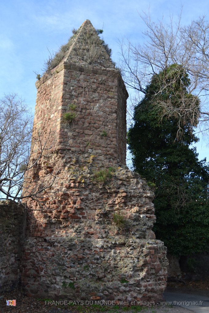Lanterne Auguste 3.JPG - Lanterne d'Auguste 12 2012