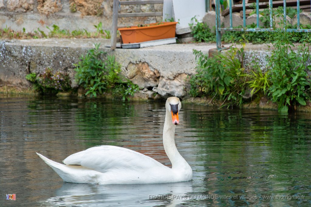 La Malene vers Peyre 14.jpg - La Malene vers Peyre (12) Gorges du Tarn - Mai 2019