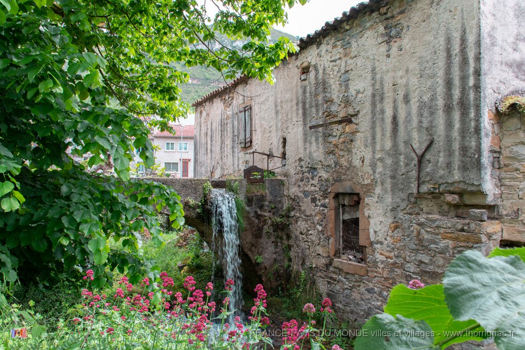 La Malene vers Peyre 9.jpg - La Malene vers Peyre (12) Gorges du Tarn - Mai 2019