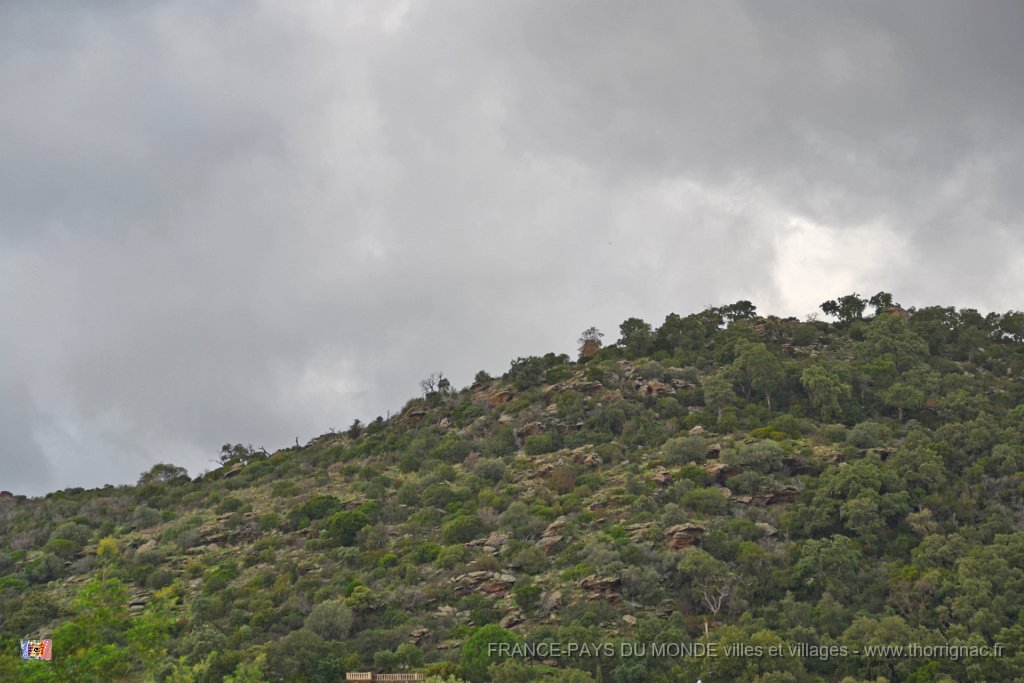 Massif des Maures.jpg - Massif des Maures.  Le 05 décembre sous la pluie.