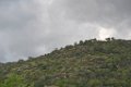 Massif des Maures