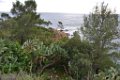 Pointe du Layet Le Lavandou 8