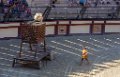Les arenes 66