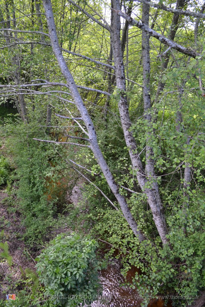 DSC 0043.JPG - Ruisseau passant à Lcmau.