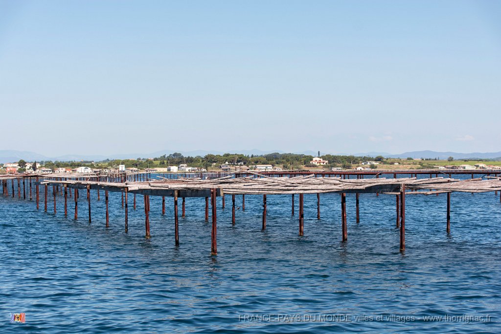Marsaillan mai 2019 18.jpg - Marsellan (34) - Mai 2019