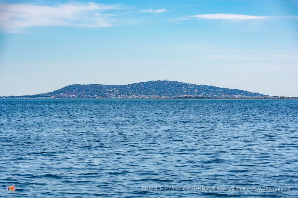Marsaillan mai 2019 21.jpg - Marsellan (34) - Mai 2019