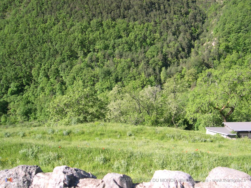 DSCN1914.JPG - Le paysage environnant.