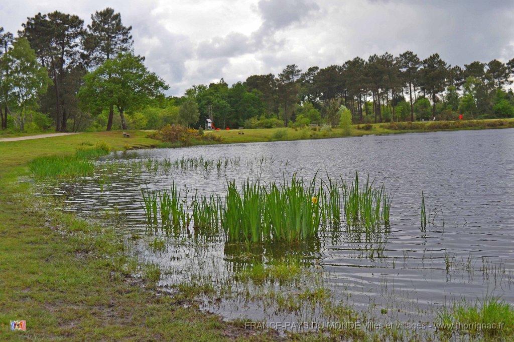 Romainville 11 mai 2013 18.JPG - Lac de Romainville. Mai 2013