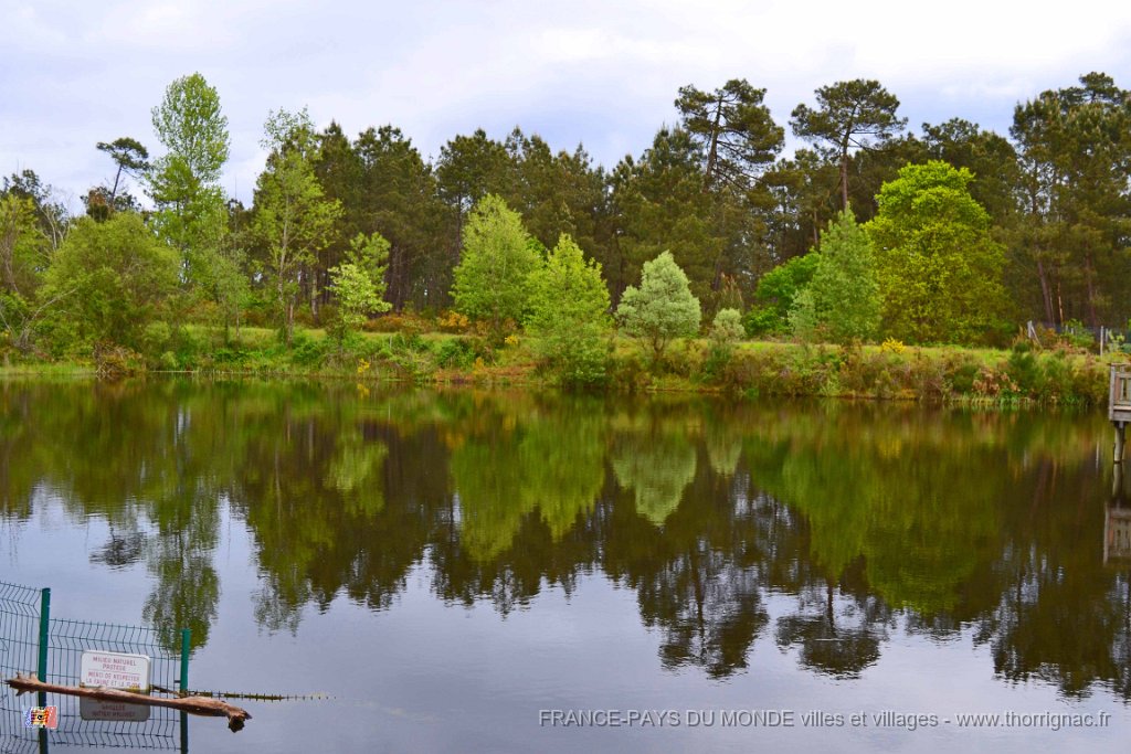 Romainville 11 mai 2013 60.JPG - Lac de Romainville. Mai 2013