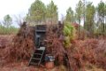 Palombiere temps pluvieux 01 11 2018 17