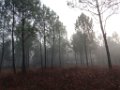 Palombiere beau temps 13 10 2018 14