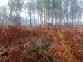 Palombiere beau temps 13 10 2018 15