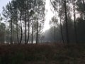 Palombiere beau temps 13 10 2018 18