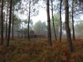 Palombiere beau temps 13 10 2018 19