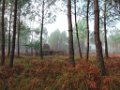 Palombiere beau temps 13 10 2018 20