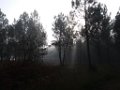 Palombiere beau temps 13 10 2018 21