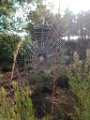 Palombiere beau temps 13 10 2018 30