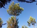 Palombiere beau temps 13 10 2018 39