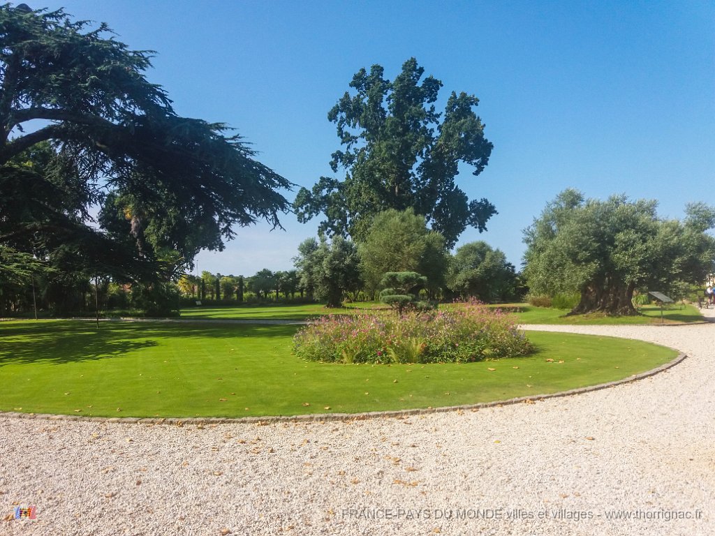 Pape Clement 12 08 2018 14.jpg - Pessac (33) - Pape Clément - 12 août 2018.