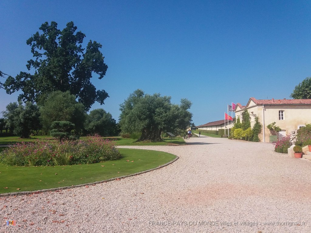 Pape Clement 12 08 2018 15.jpg - Pessac (33) - Pape Clément - 12 août 2018.