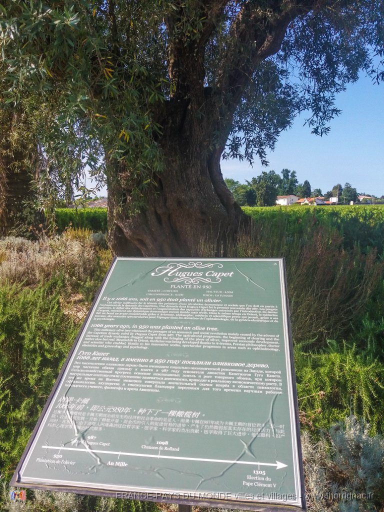 Pape Clement 12 08 2018 25.jpg - Pessac (33) - Pape Clément - 12 août 2018.